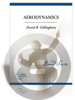 Aerodynamics（エアロダイナミクス）